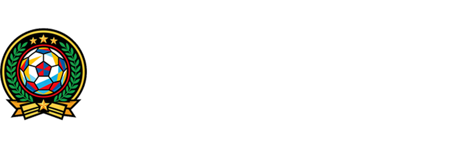 法国VS挪威直播
